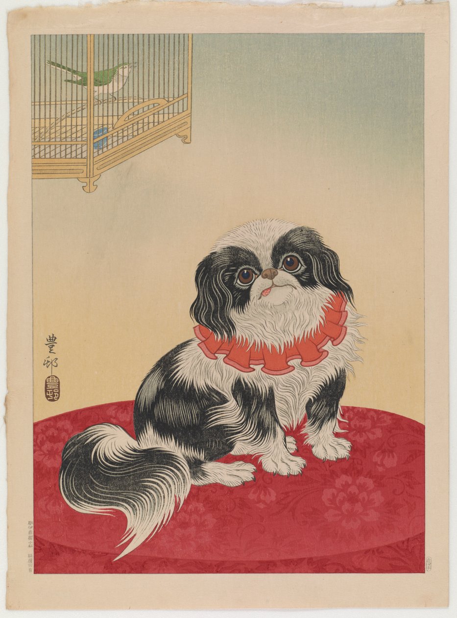 Pekinginkoira, n. 1930 (värillinen puupainatus) tekijältä Ohara Koson
