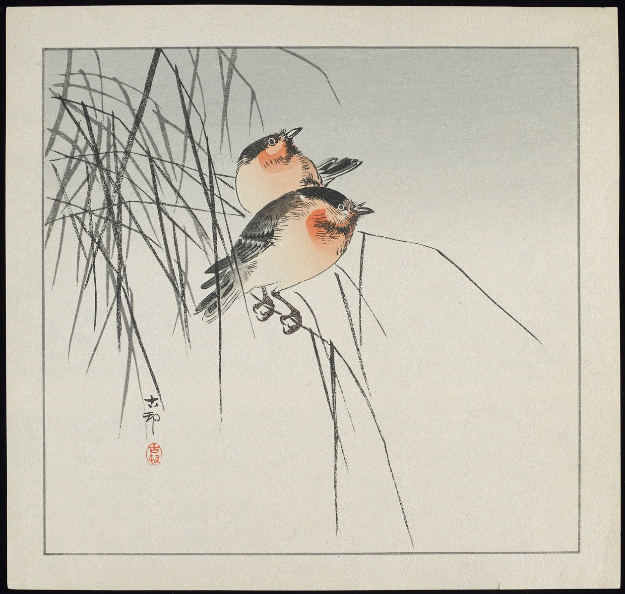 Kaksi lintua kaislikolla, ennen 1912 tekijältä Ohara Koson