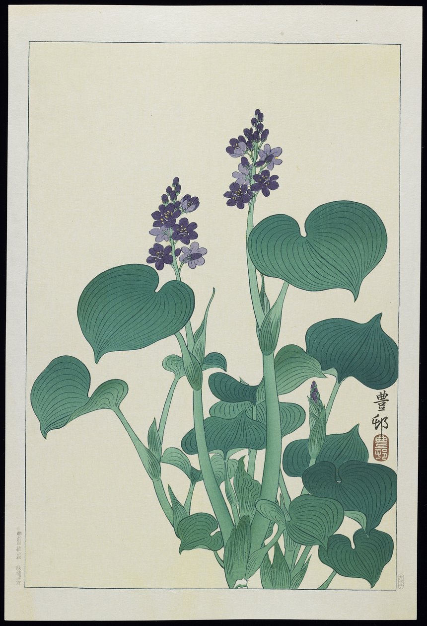 Water Hollyhock, 1930-luku tekijältä Ohara Koson