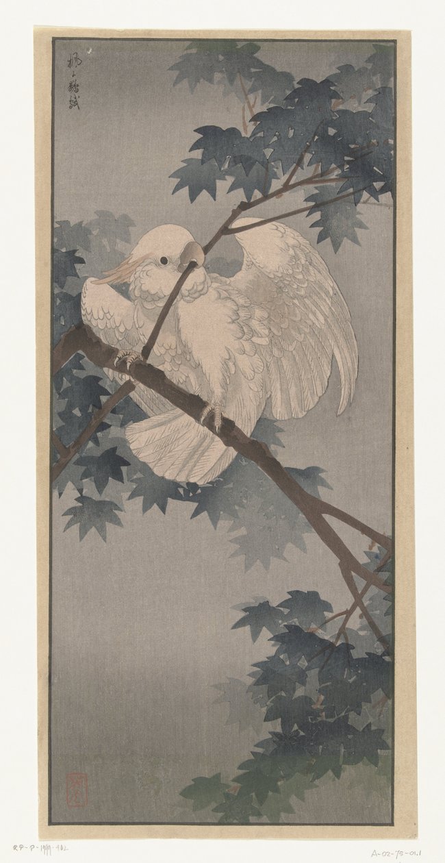 Keltaharjainen kakadu puussa tekijältä Ohara Koson (attributed to)