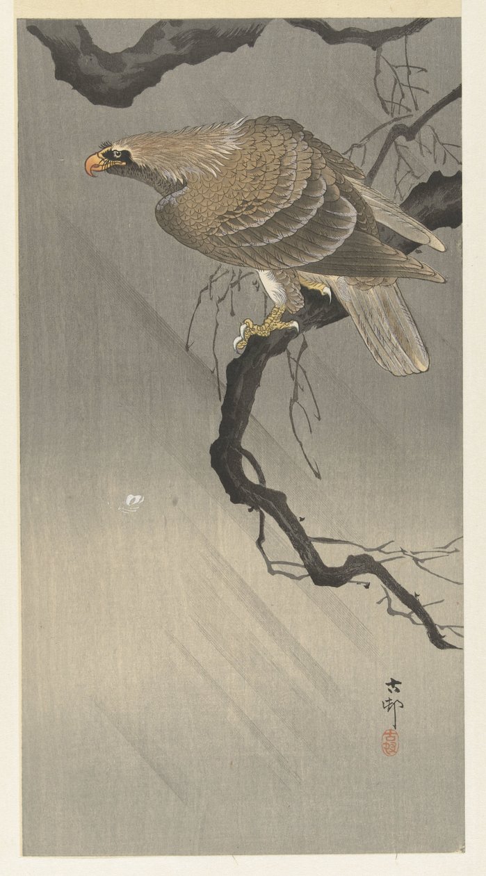 kotka oksalla tekijältä Ohara Koson
