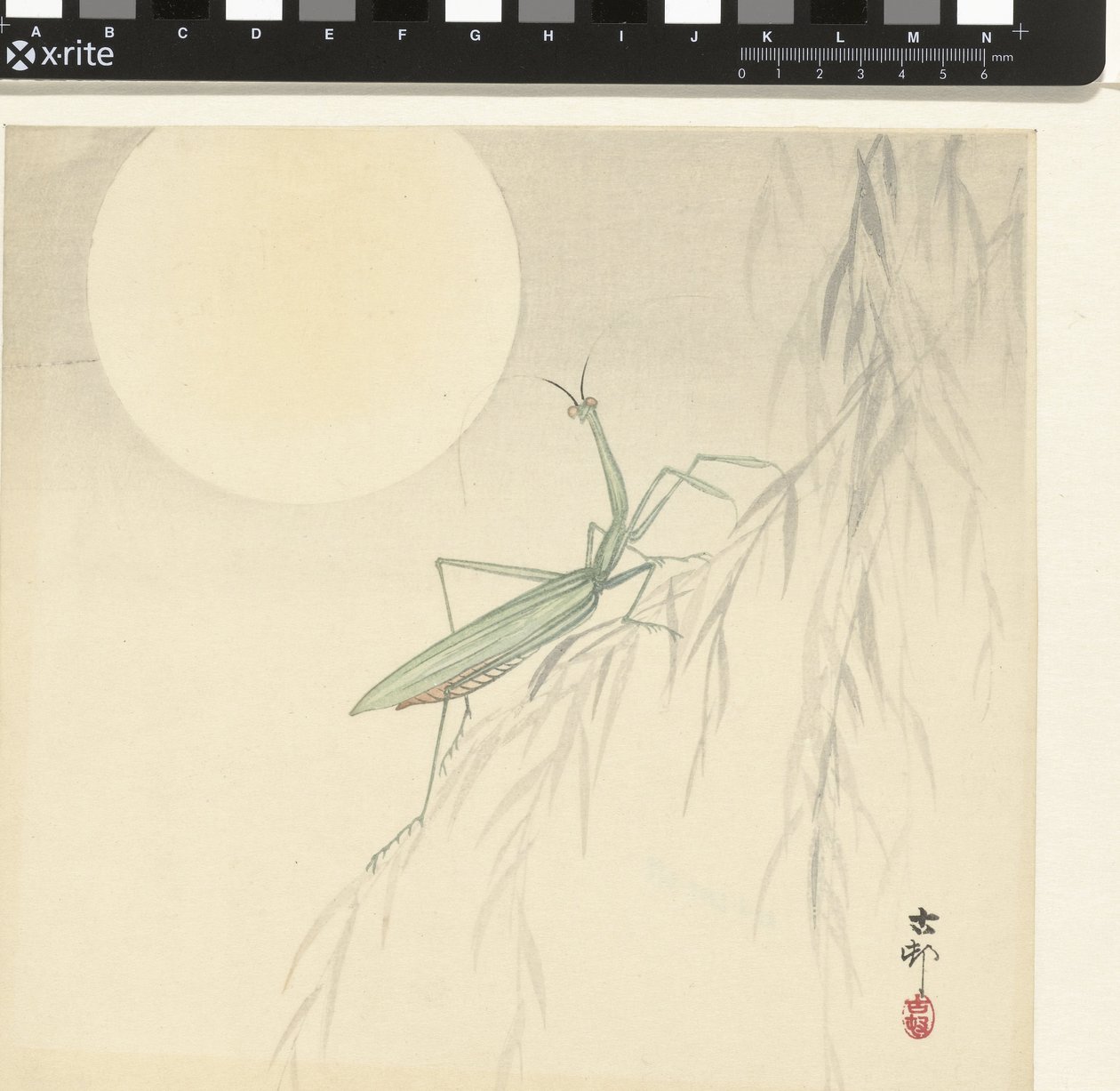 Rukoilijasirkka tekijältä Ohara Koson