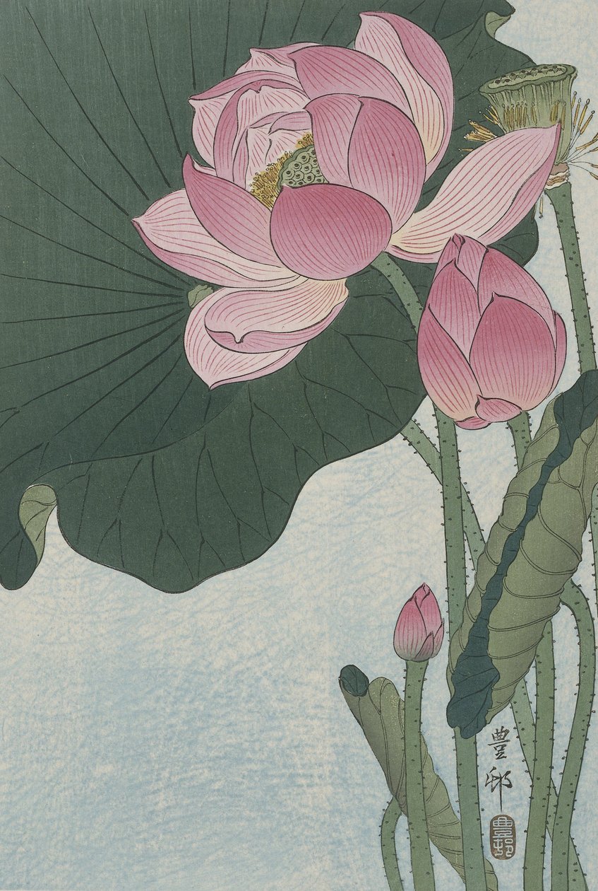 Kukkivat lootuksen kukat, 1920-30 (värillinen puupiirros) tekijältä Ohara Koson