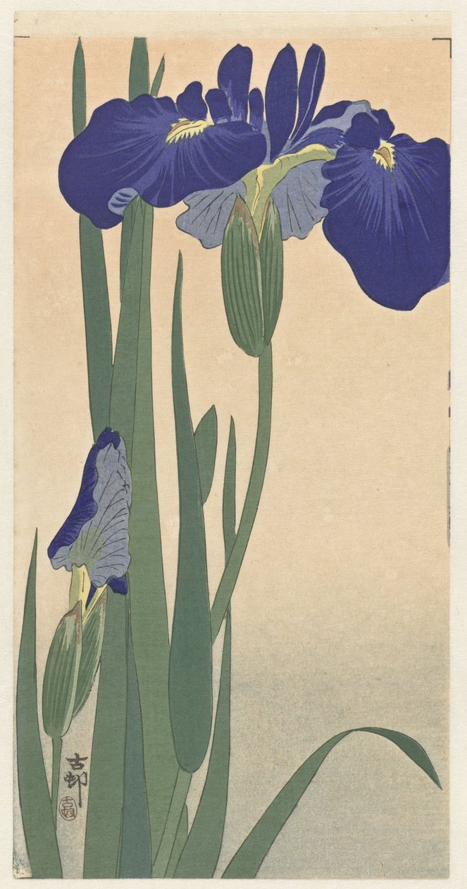 Siniset iirikset, 1900-30 (puupainatus) tekijältä Ohara Koson