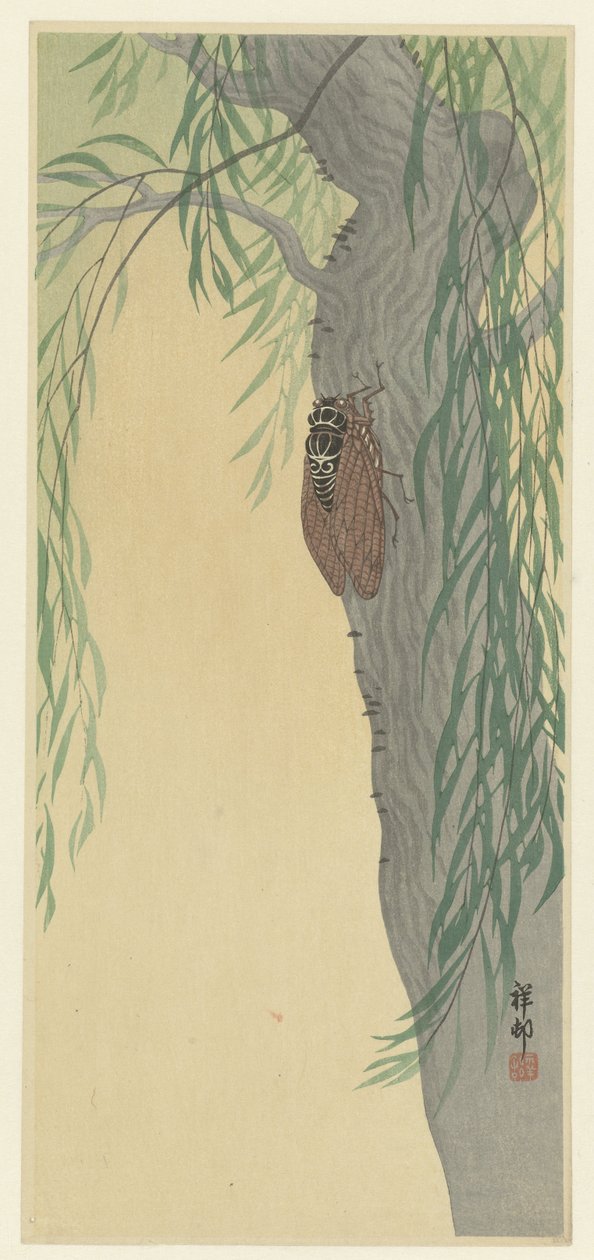 Cicada puussa tekijältä Ohara Koson