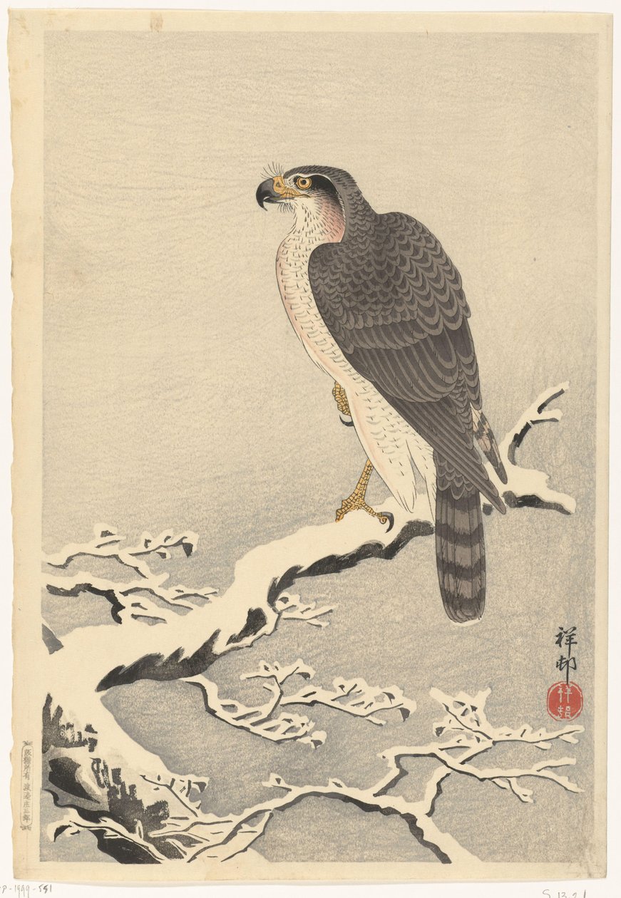 Haukka männyn lumisella oksalla tekijältä Ohara Koson