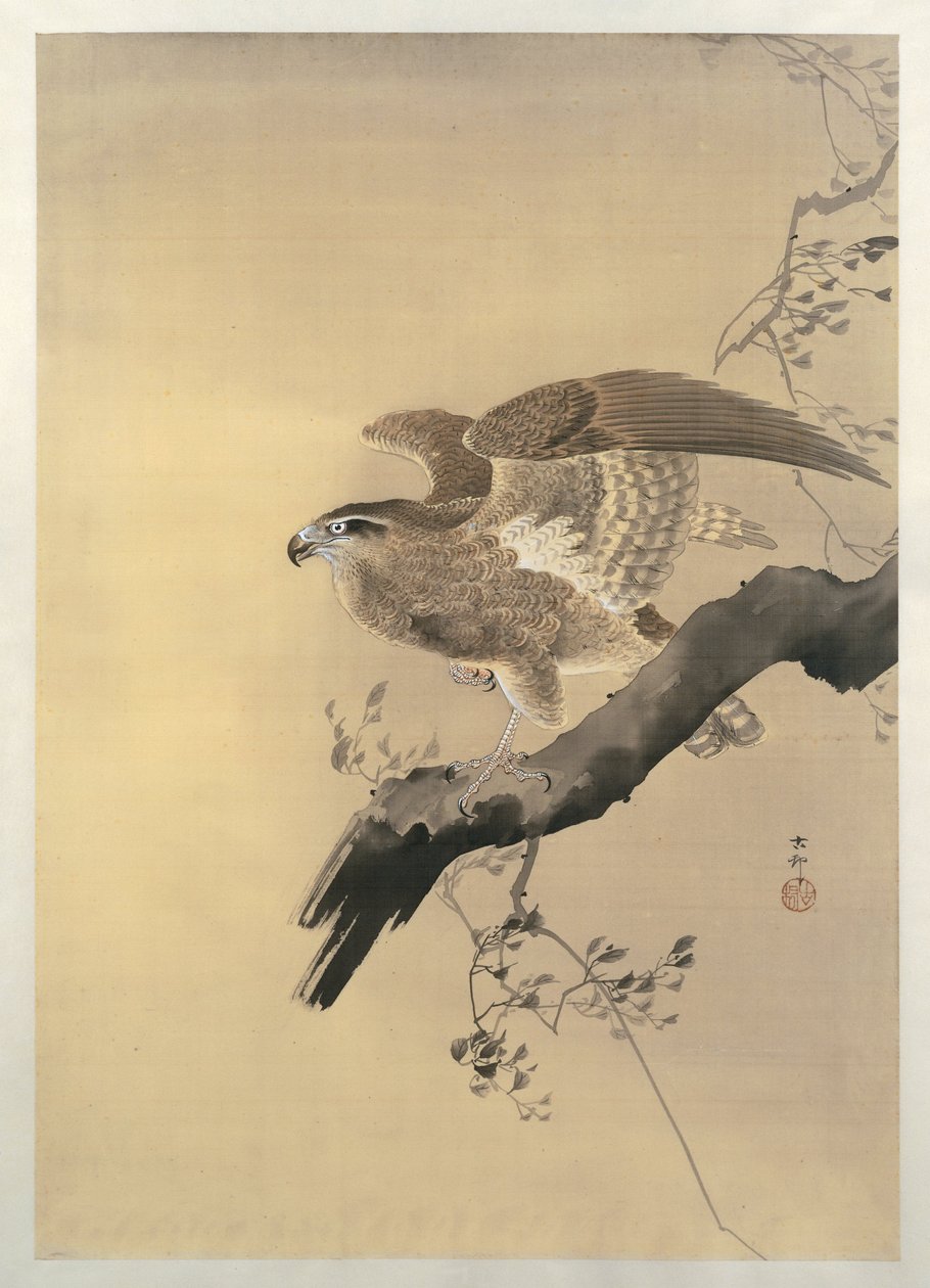 Haukka (sivellin) tekijältä Ohara Koson
