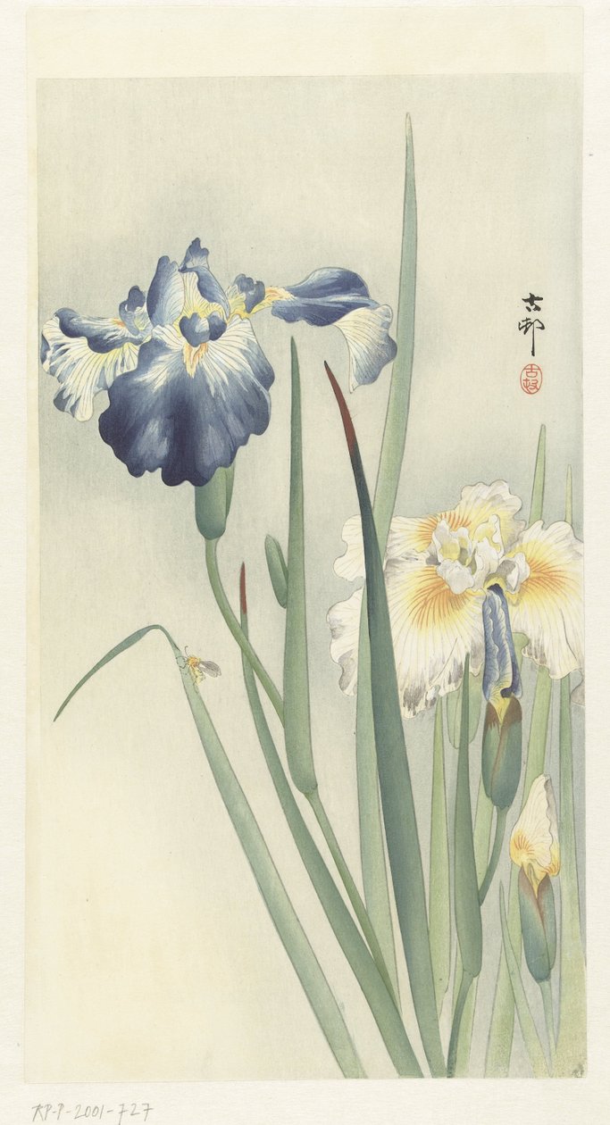 iirikset tekijältä Ohara Koson