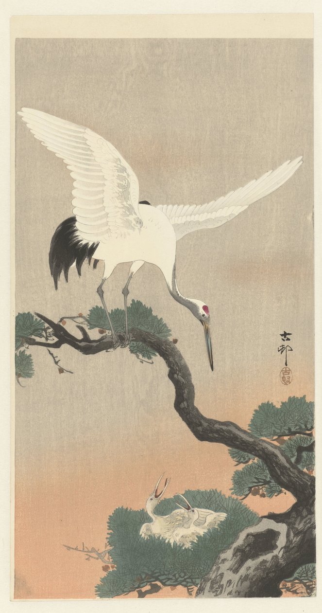 Japanilainen nosturi männyn oksalla tekijältä Ohara Koson