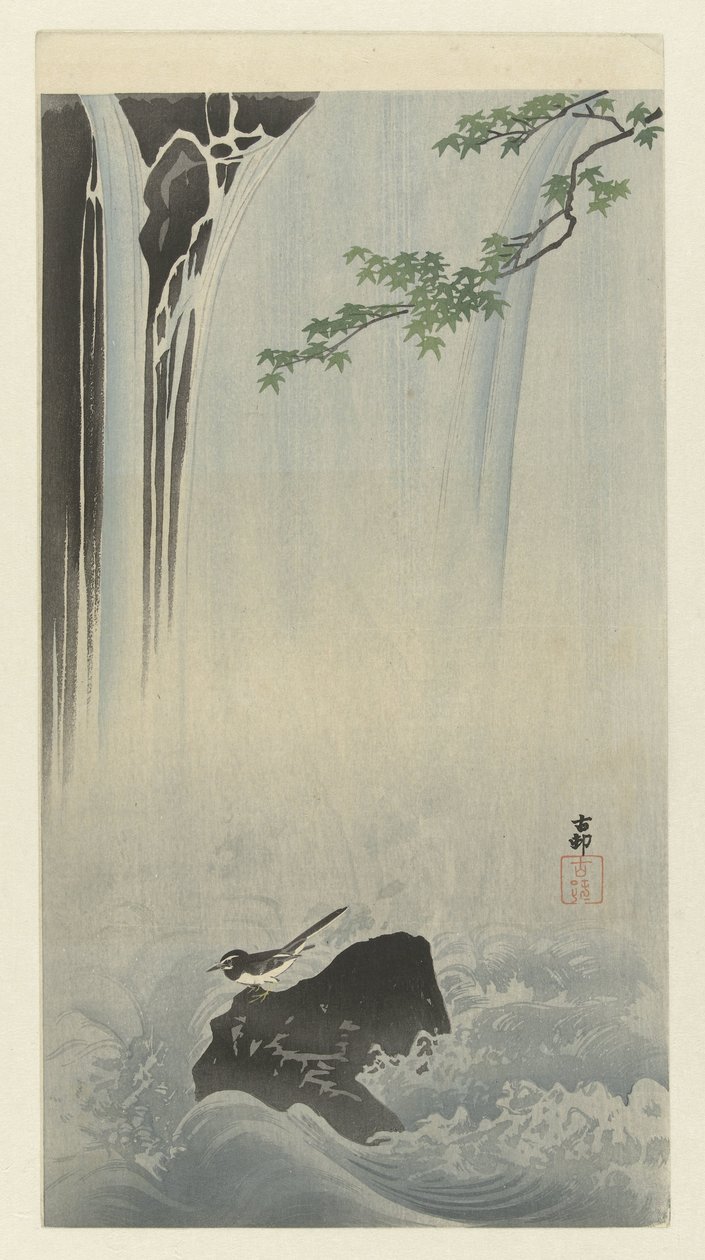 Japanilainen wagtail vesiputouksella tekijältä Ohara Koson