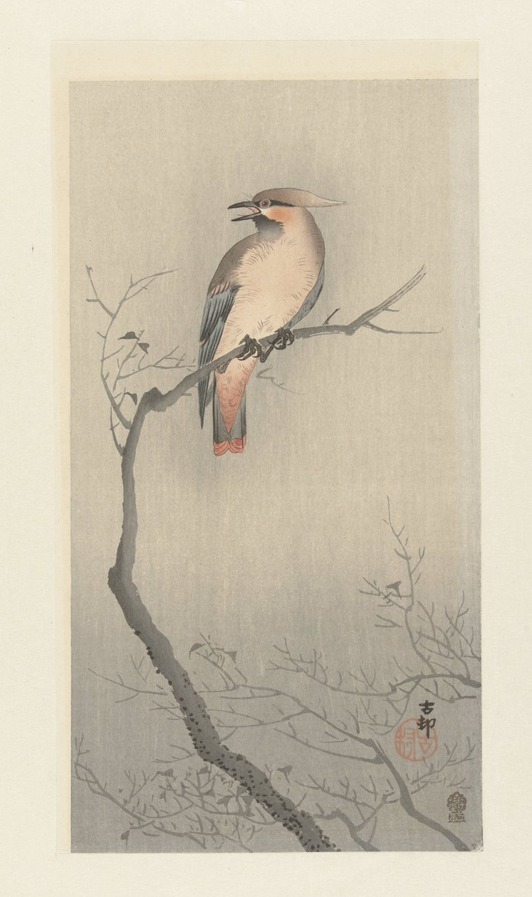 Japanilainen vahasiipi oksassa tekijältä Ohara Koson
