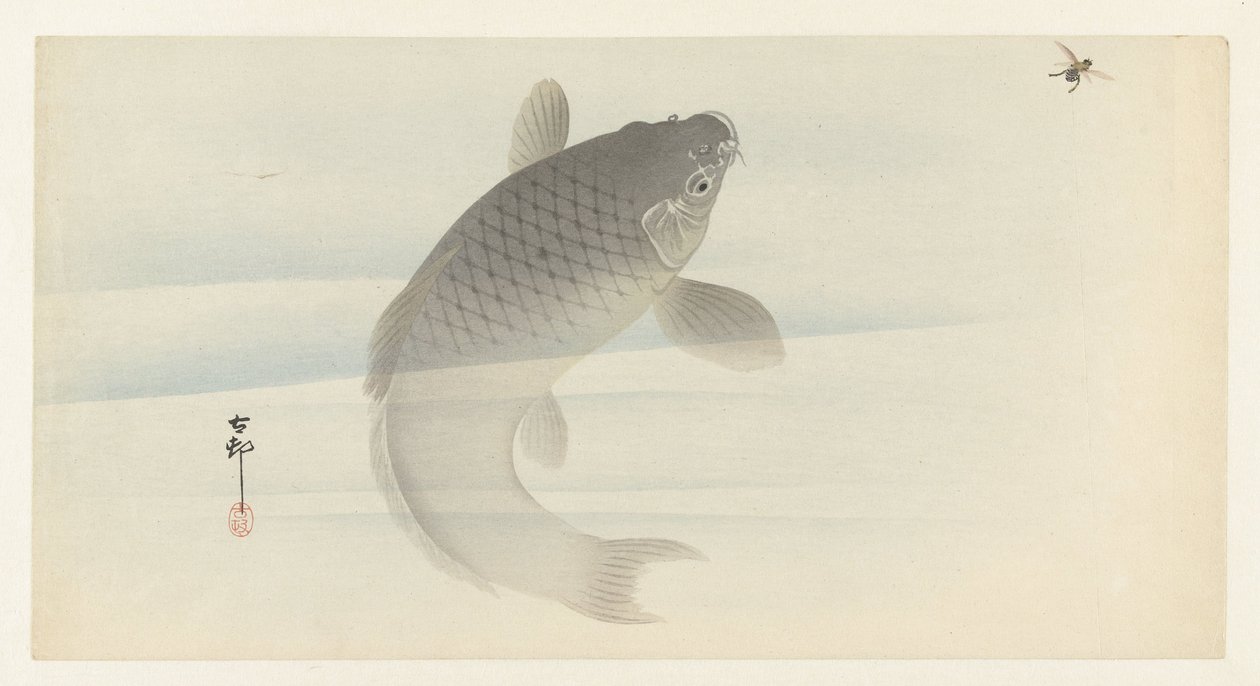 karppi ja lentää tekijältä Ohara Koson