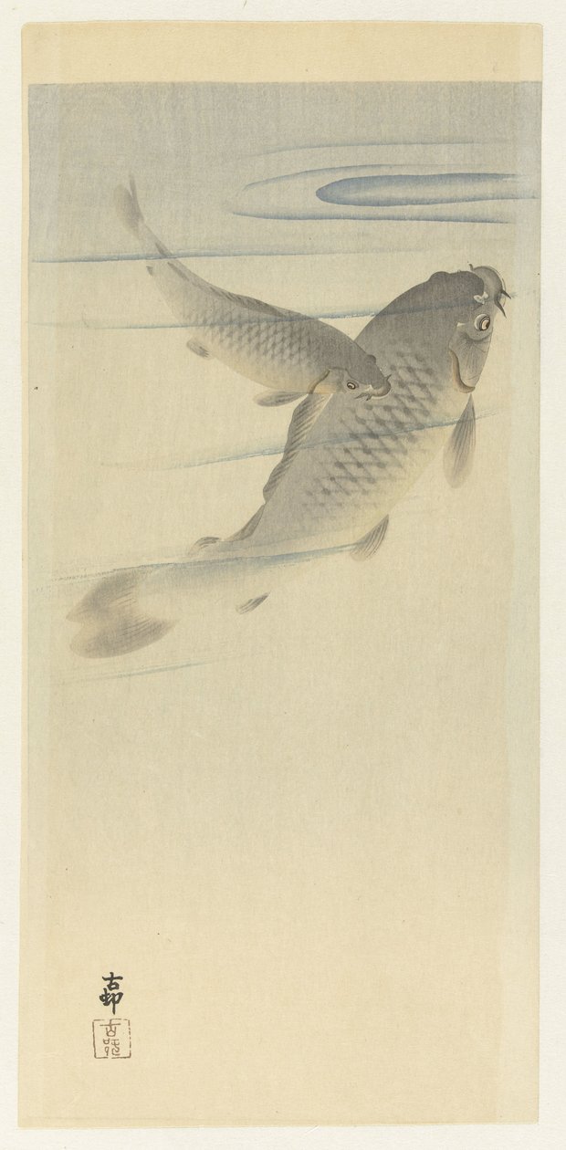 acabat carpa tekijältä Ohara Koson