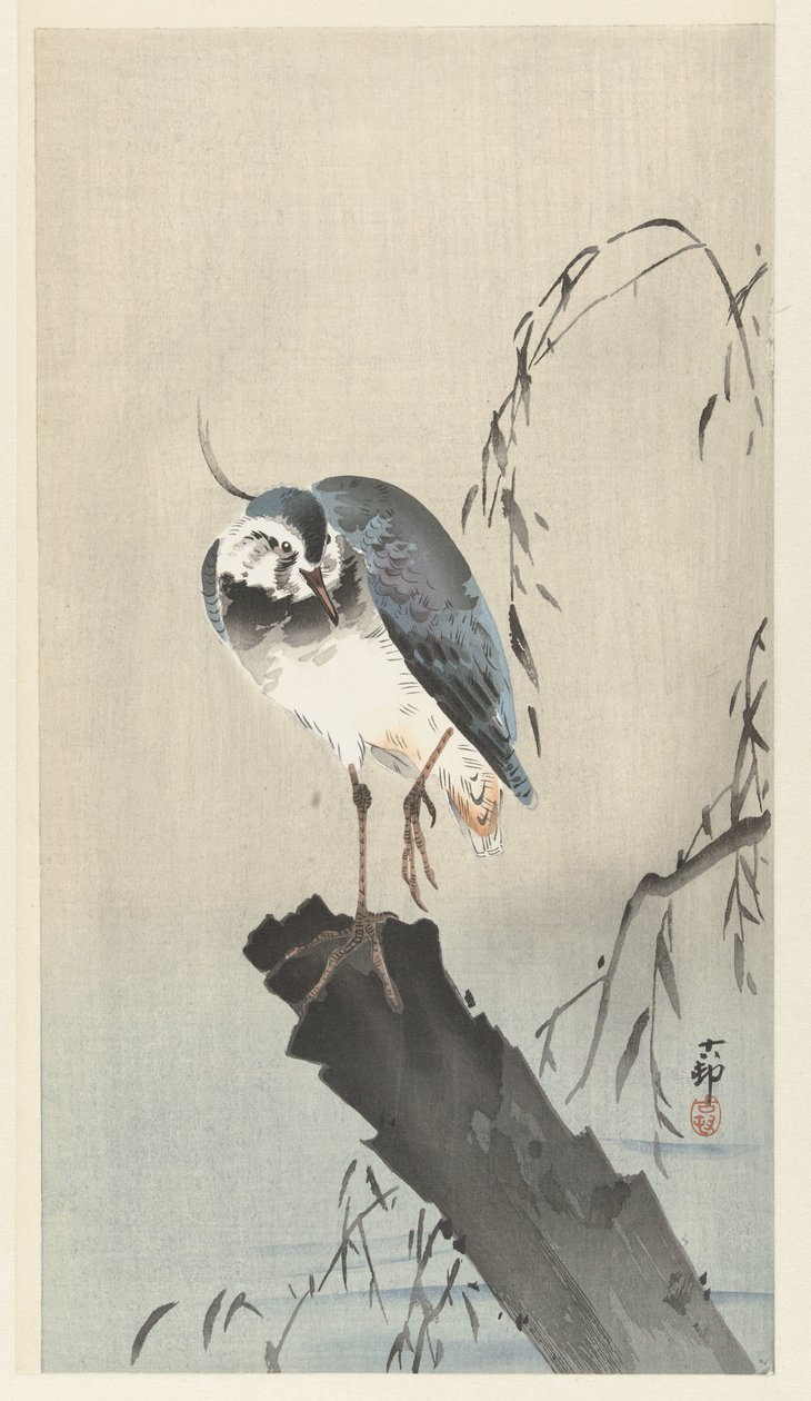 Kiertelee kannolla tekijältä Ohara Koson