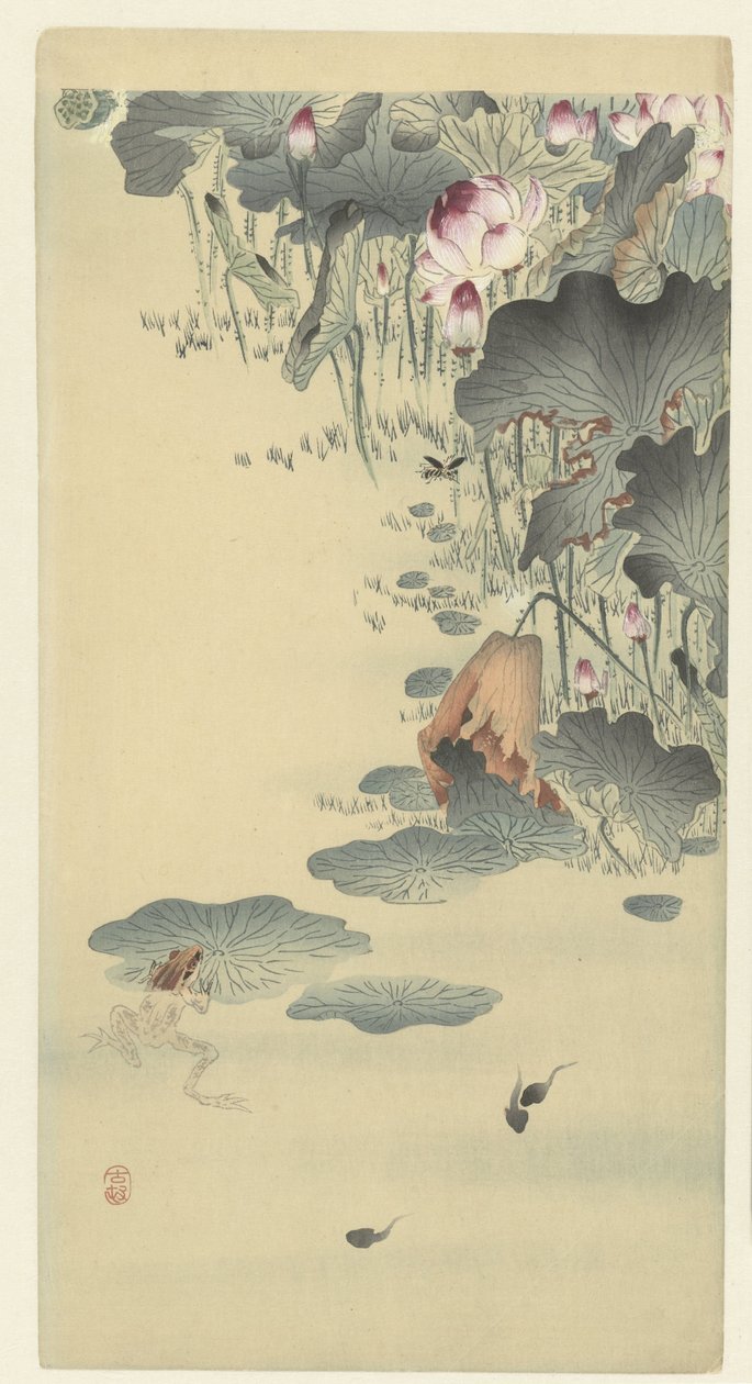 Sammakko ja nuijapäiset tekijältä Ohara Koson