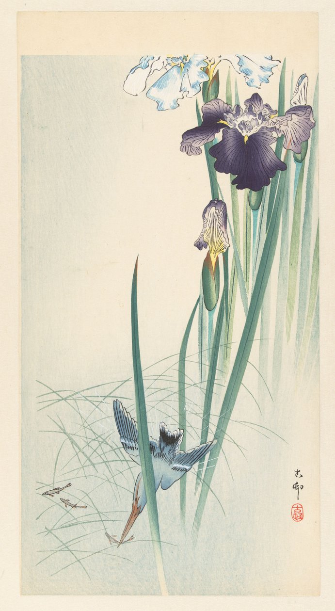 Kingfisher ja iirikset tekijältä Ohara Koson