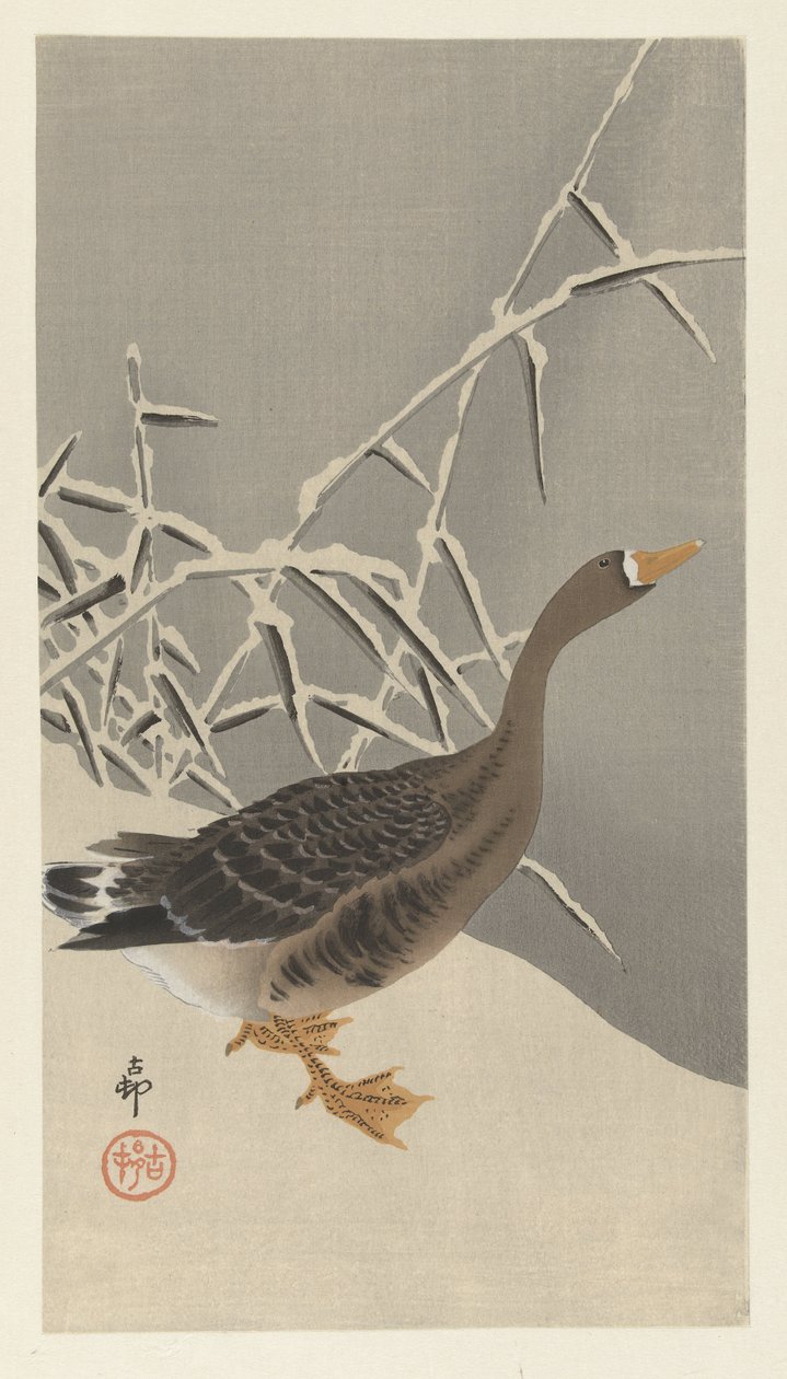 Valkohousuhanhi lumessa tekijältä Ohara Koson