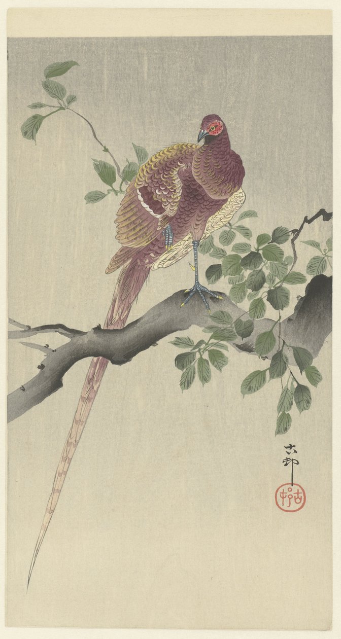 Copperphasantfinnish tekijältä Ohara Koson