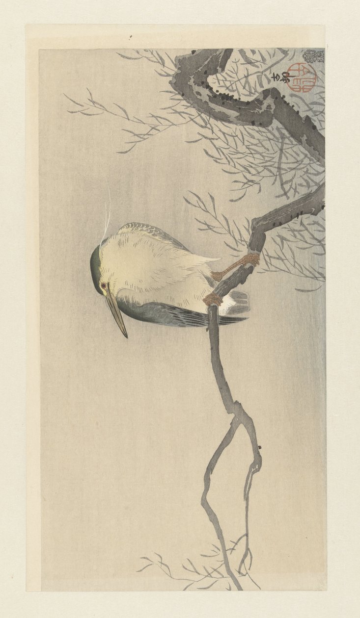 Kwak hassulla oksalla. tekijältä Ohara Koson