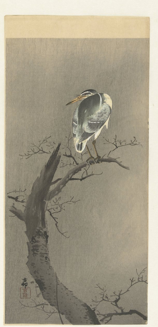 höpöttää tak tekijältä Ohara Koson