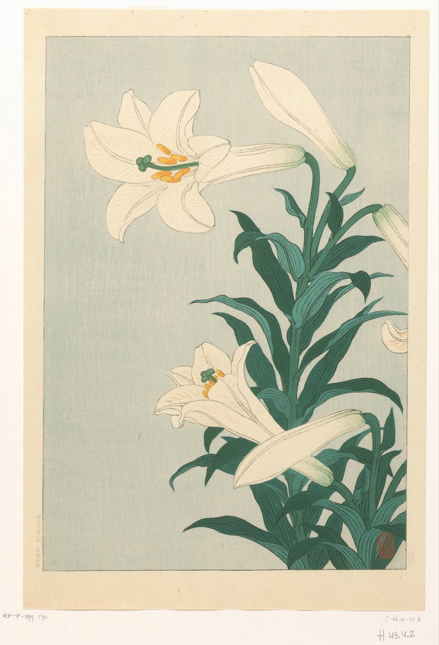 Lelies tekijältä Ohara Koson