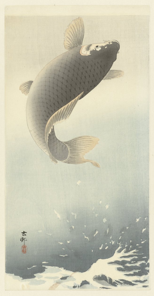 hyppäävä karppi tekijältä Ohara Koson