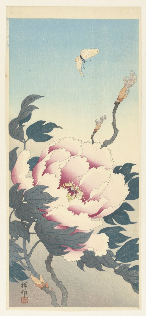 Pioni ja perhonen tekijältä Ohara Koson