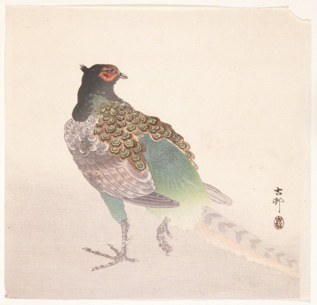 Fasaani (värillinen puupainatus) tekijältä Ohara Koson