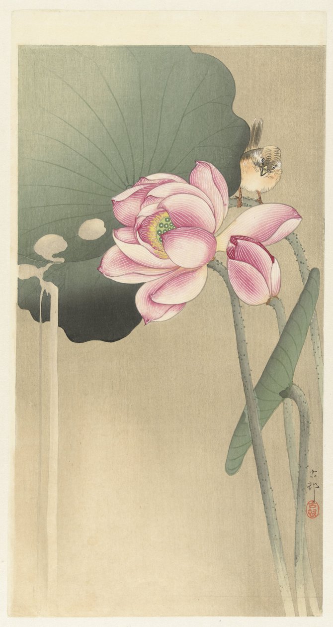 Songbird ja Lotus tekijältä Ohara Koson