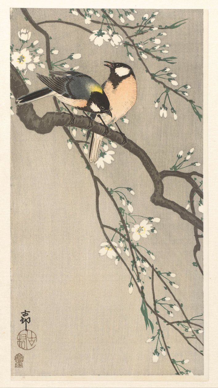 Tissit Cherry Branchissa tekijältä Ohara Koson