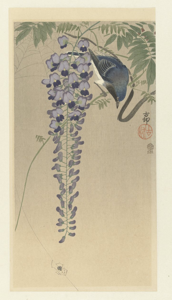 Perhosieppo wisteriassa tekijältä Ohara Koson