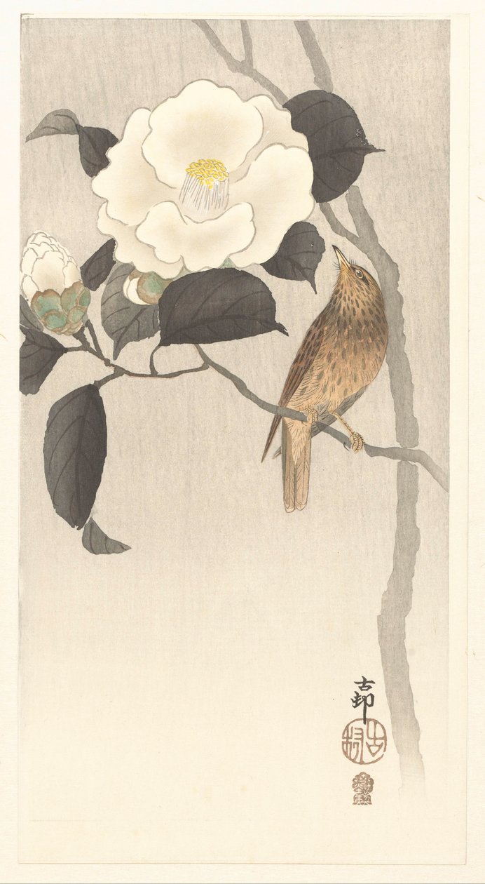 Laululintu ja kukkiva kamelia tekijältä Ohara Koson