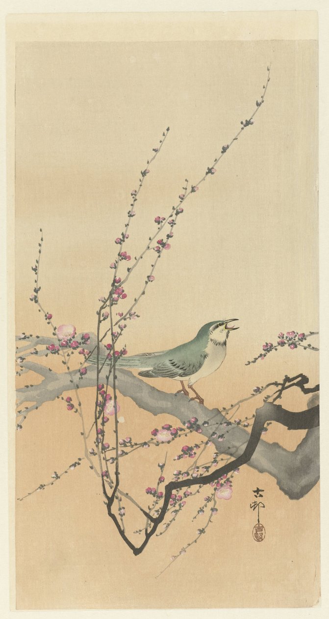 Laululintu ja luumukukka. tekijältä Ohara Koson