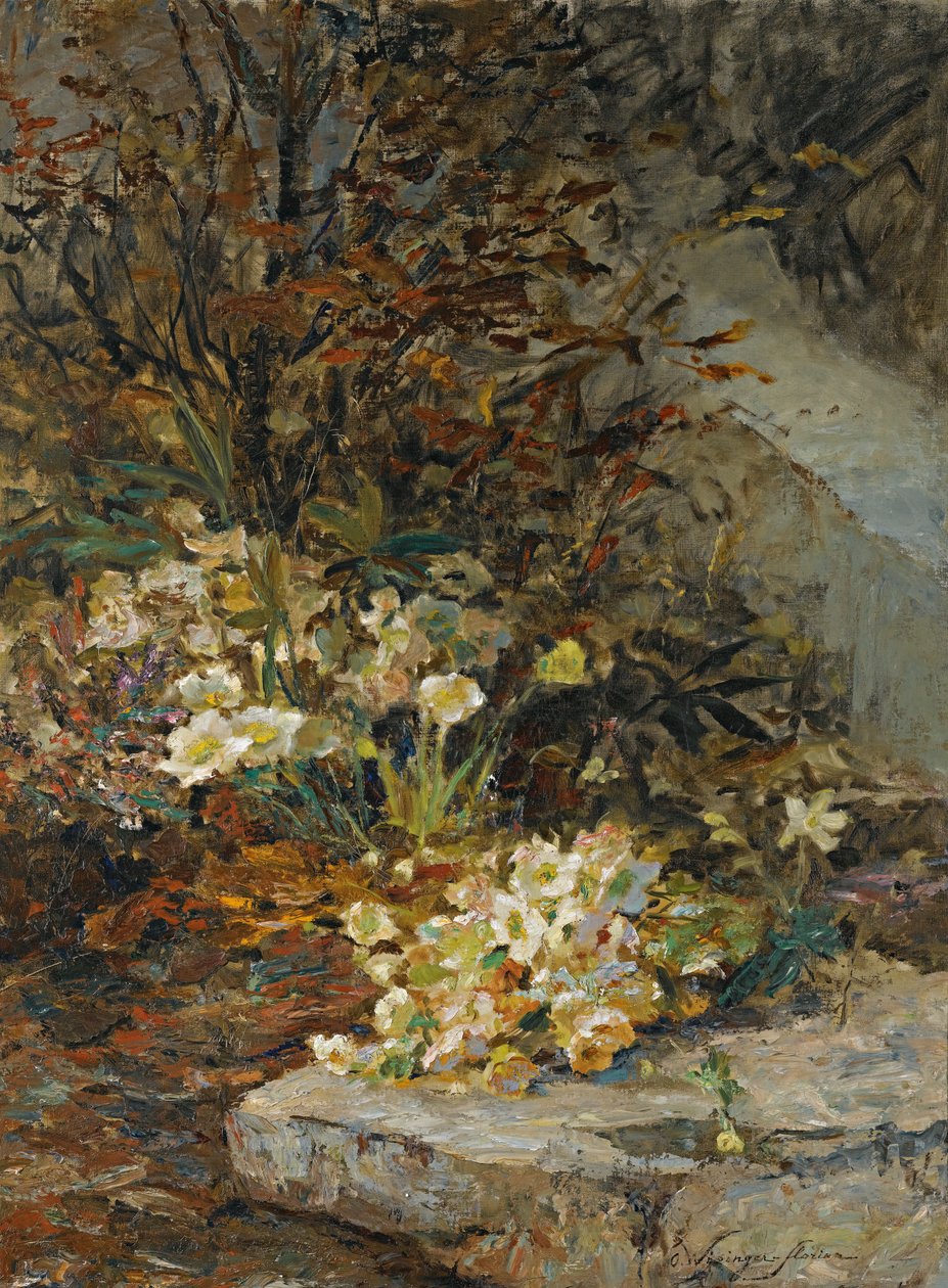 Hellebores tekijältä Olga Wisinger Florian