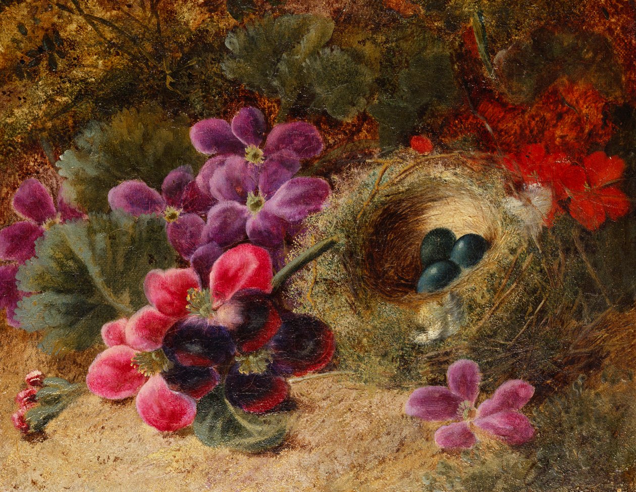 Linnunpesä ja pelargoniat tekijältä Oliver Clare