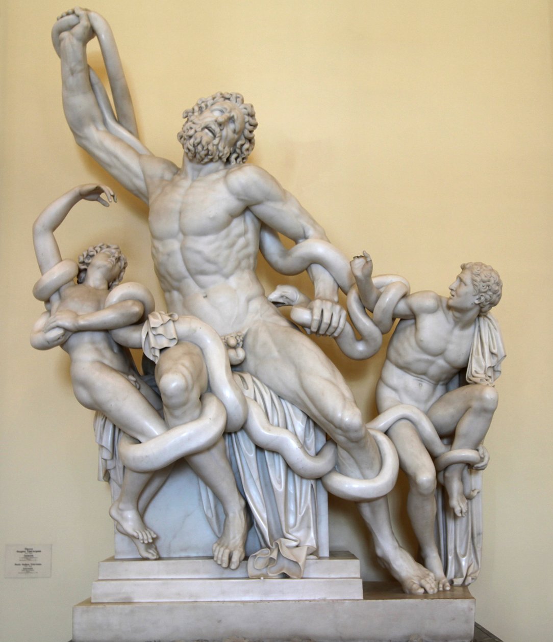 "Laocoon", 1789. tekijältä Paolo Andrea Triscornia