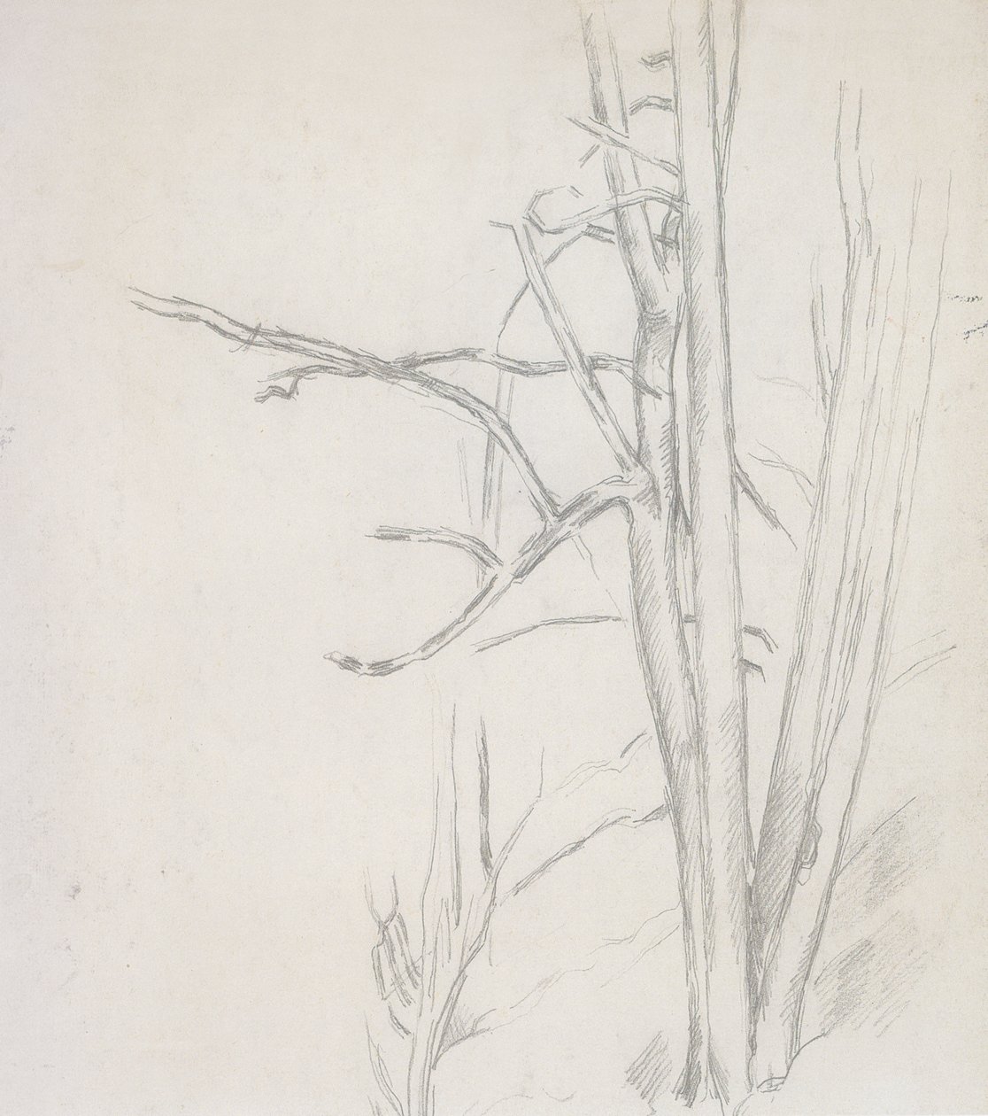 Puustotutkimus tekijältä Paul Cézanne