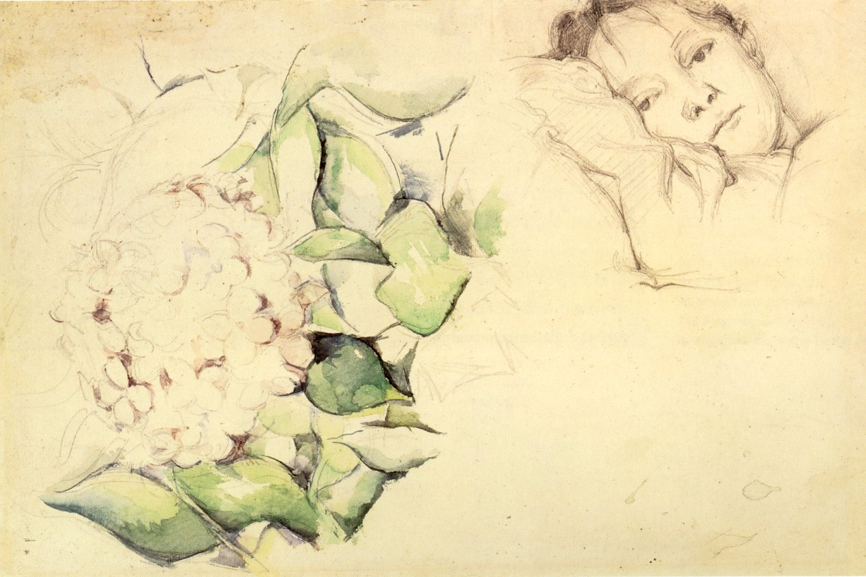 Madame Cézanne ja Hydrangeas tekijältä Paul Cézanne