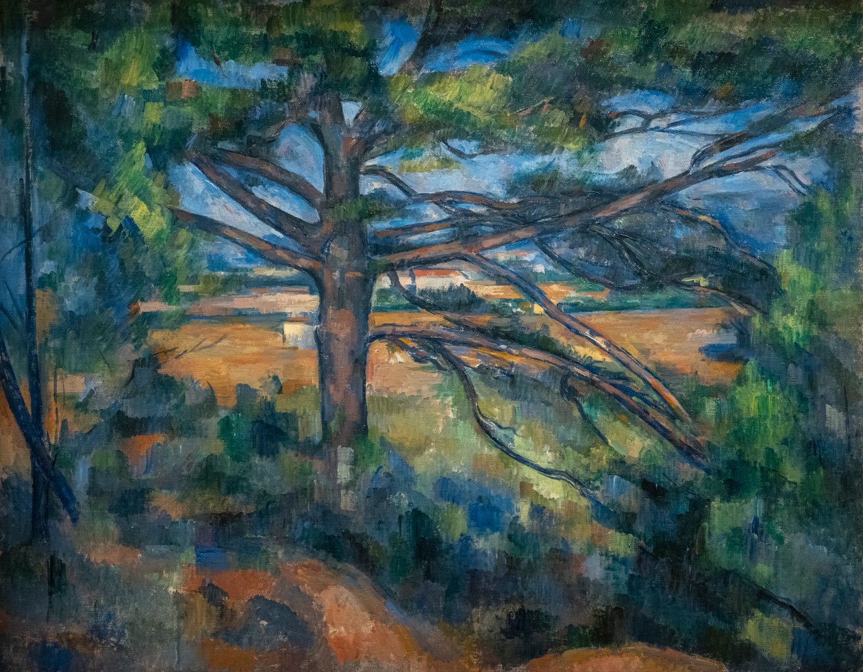 Great Pine lähellä Aix tekijältä Paul Cézanne