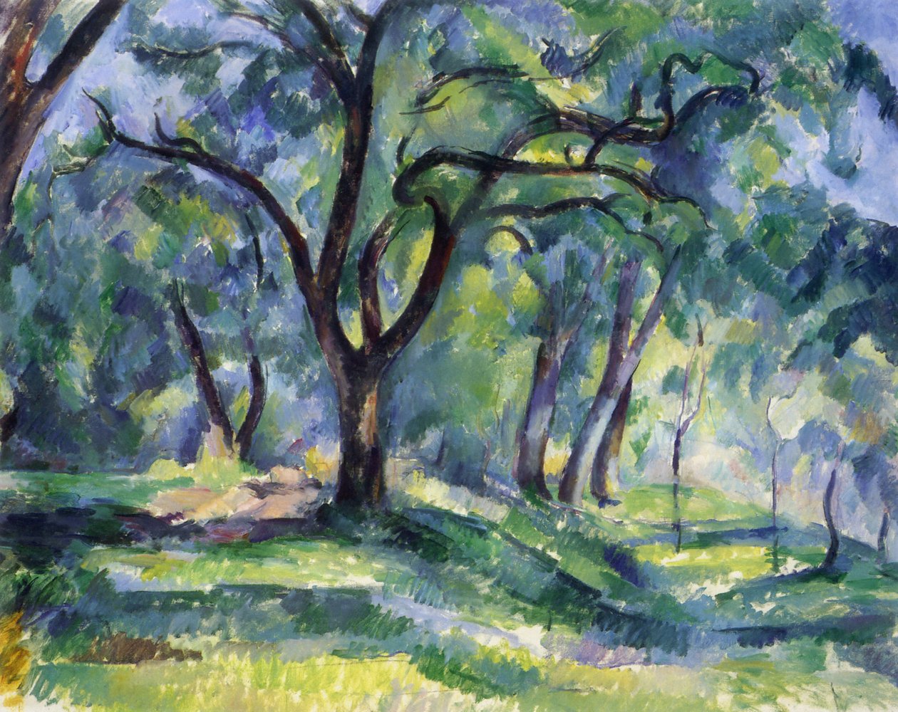 Metsä tekijältä Paul Cézanne
