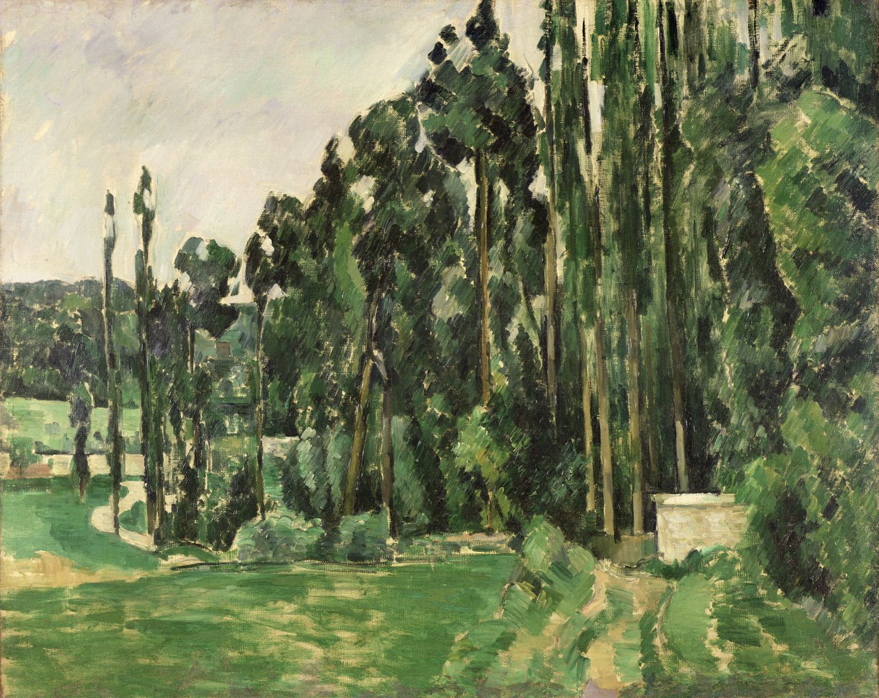 Poplars, n. 1879-82 (öljy kankaalle) tekijältä Paul Cézanne