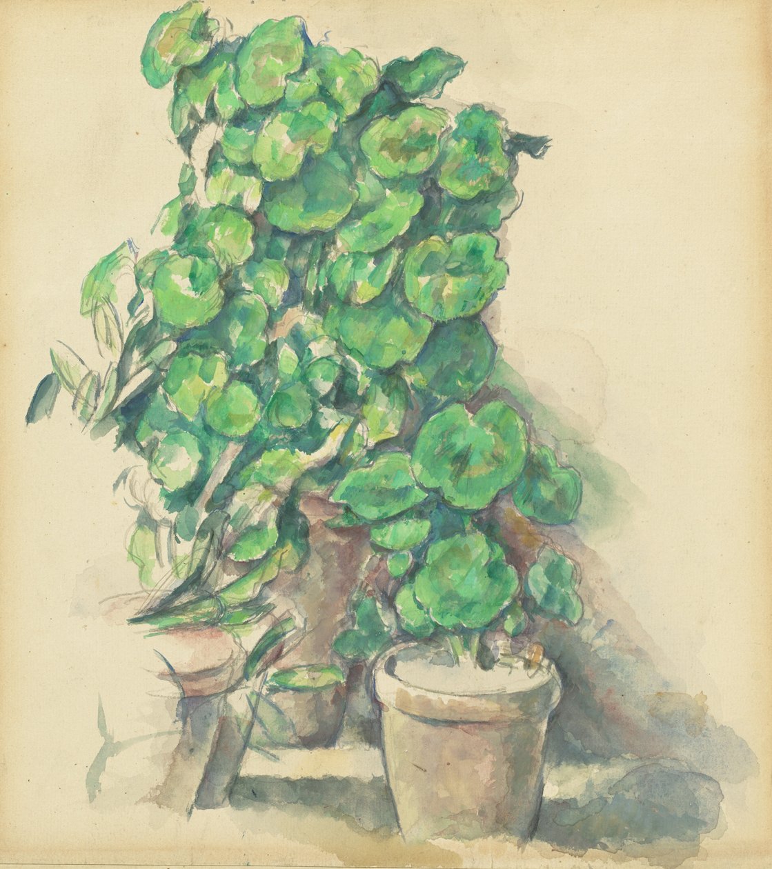Geraniums, 18881890. tekijältä Paul Cézanne