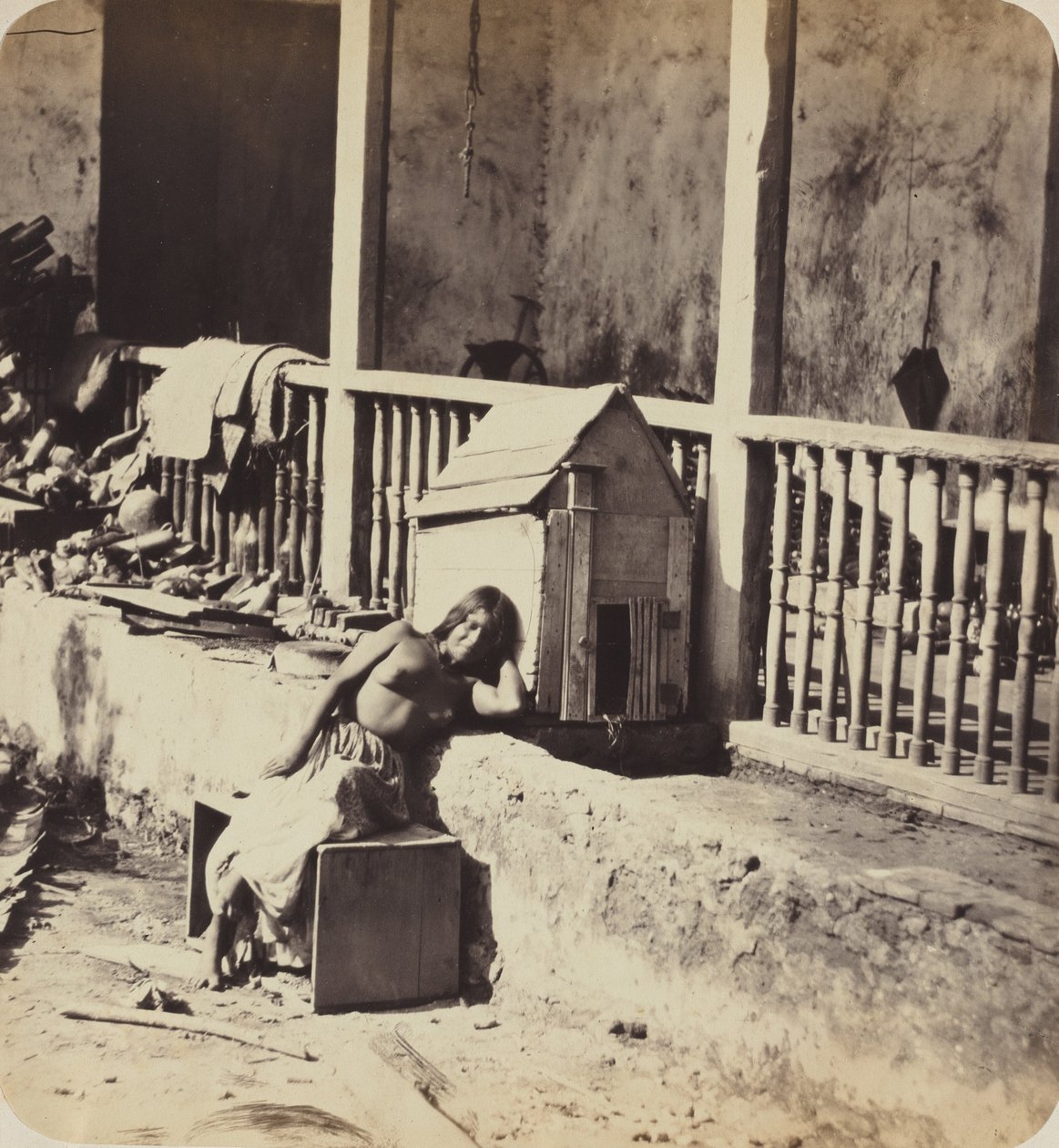 Koira Garvelista (Martinique),1870-luku (kuva) tekijältä Paul Emile Miot