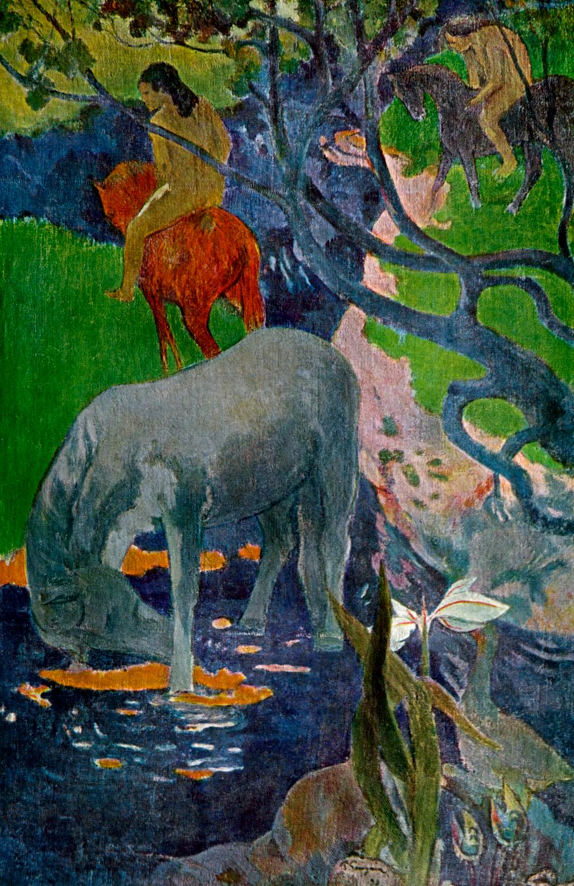 Valkoinen hevonen, 1898 1939. tekijältä Paul Gauguin