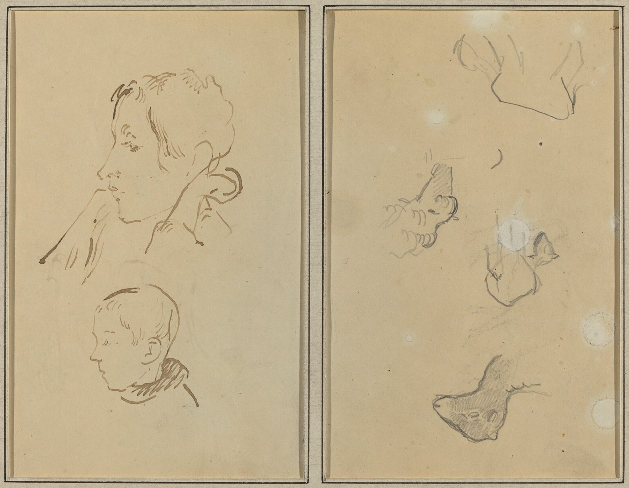 Kaksi päätä; Lammastutkimukset [recto] tekijältä Paul Gauguin