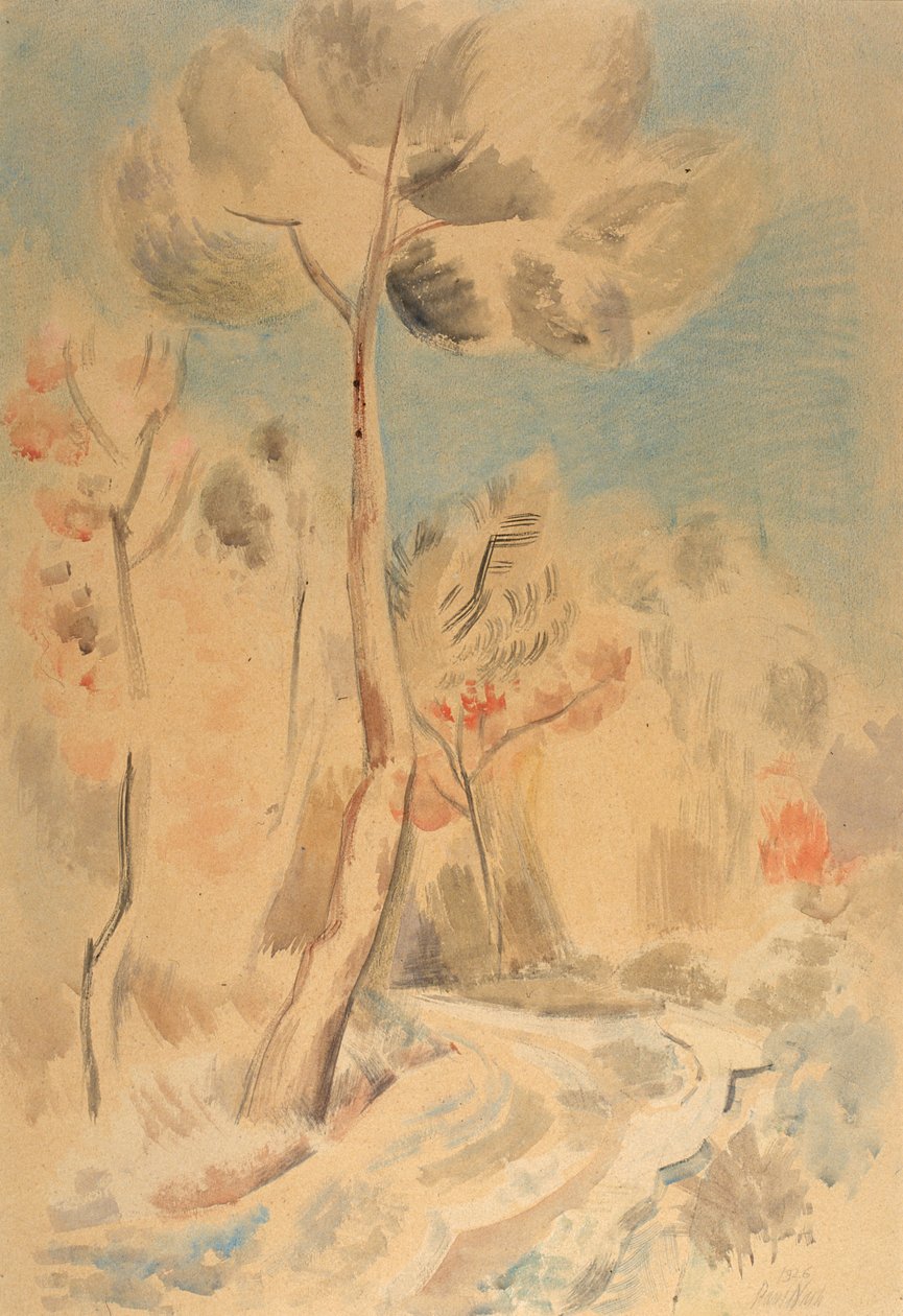 Mänty tekijältä Paul Nash