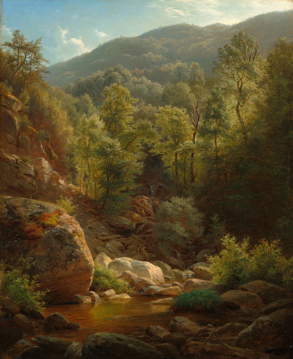Kohtaus Catskillsissa, 1858. tekijältä Paul Weber