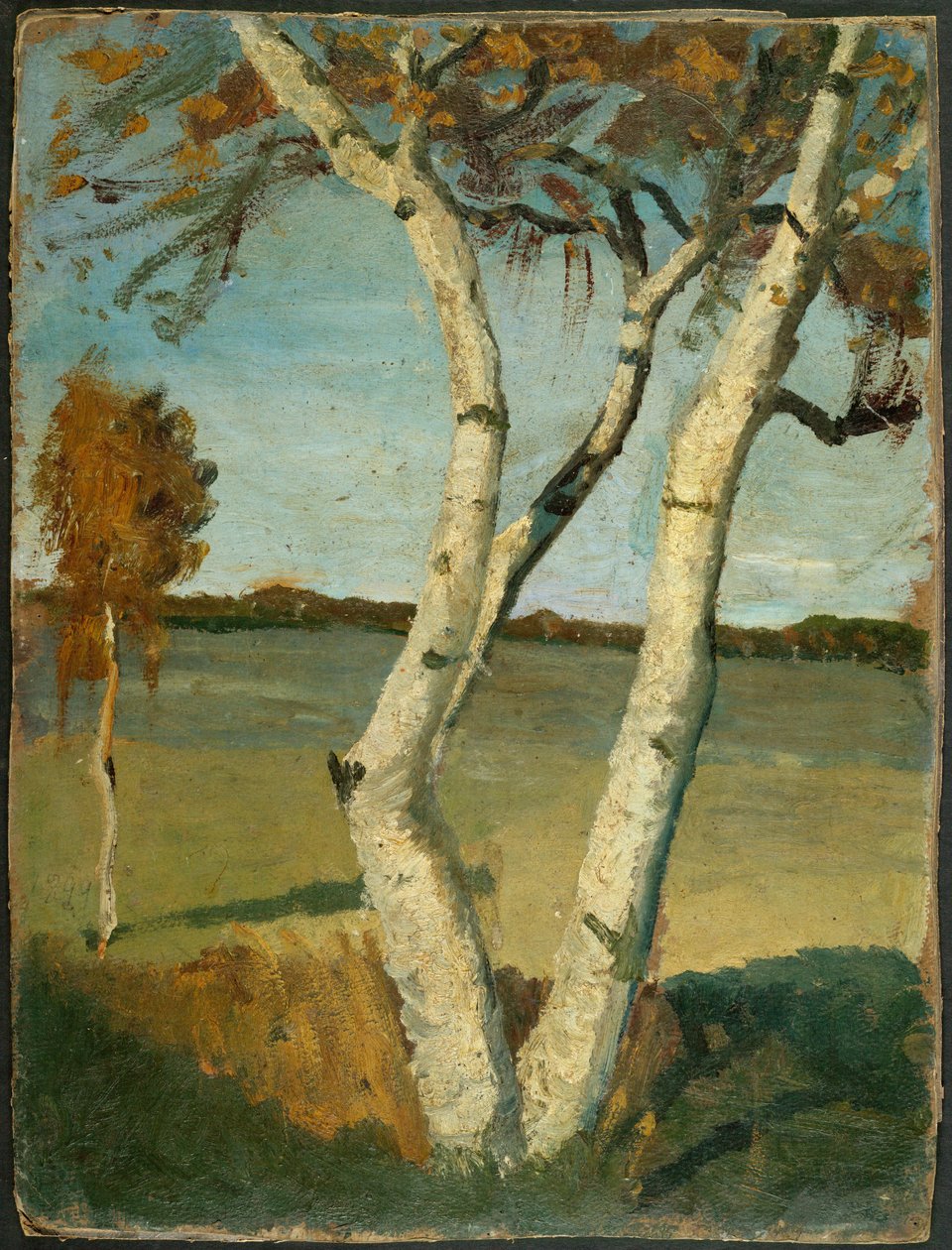 Kaksirunkoinen koivu maiseman edessä tekijältä Paula Modersohn Becker