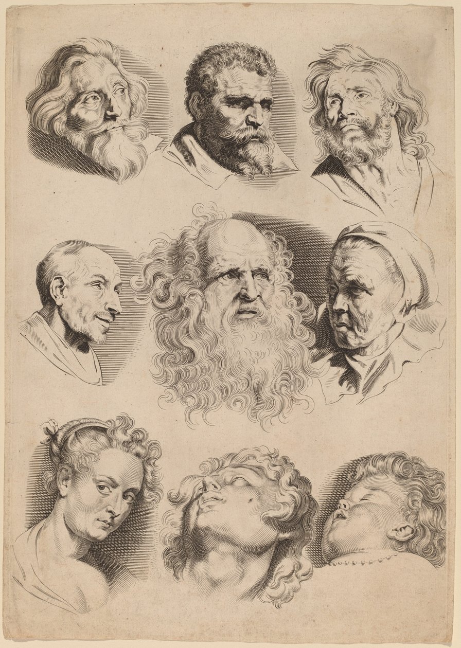 Yhdeksän päätä tekijältä Paulus Pontius after Sir Peter Paul Rubens