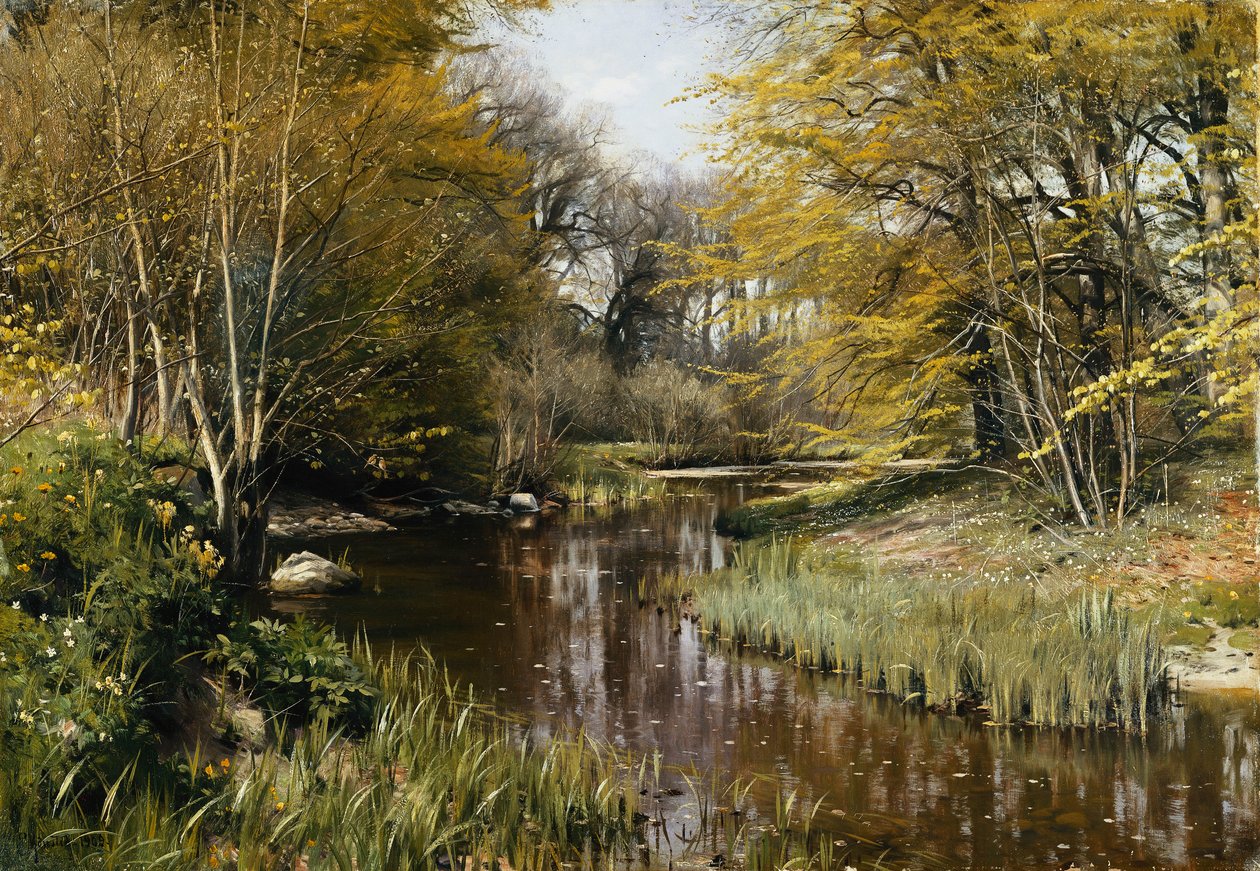 Metsäinen jokimaisema tekijältä Peder Monsted